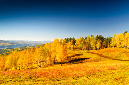 Beautiful autumn landscape. Fall season.