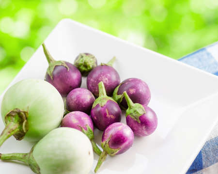 Purple eggplants on nature background の写真素材