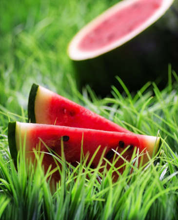 Ripe watermelon on green grass.の写真素材