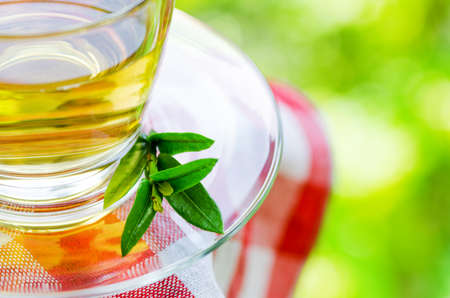 Cup of tea on nature background.の写真素材