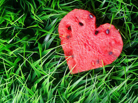 Watermelon heart on green grass. Valentine concept.の写真素材