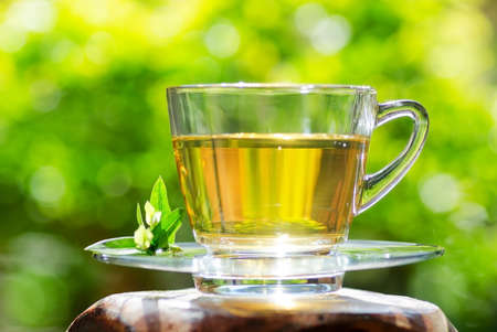 Cup of tea on nature background.の写真素材