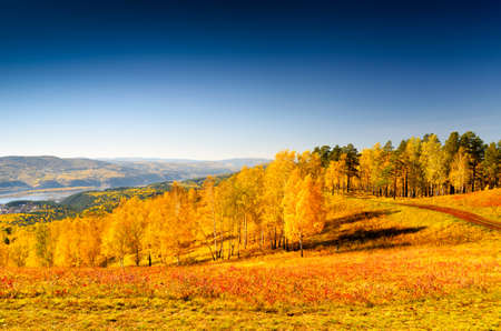 Beautiful autumn landscape. Fall season.の写真素材