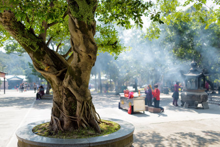 Praying at the Buddhist temple, Po Lin Monastery in Hong Kong. It is popular tourist destination of...