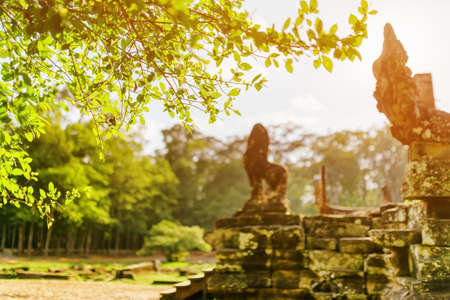 Green tree near mysterious ruins of ancient Bayon temple in Angkor Thom on sunny day in Siem Reap, Cambodia. Angkor Thom is a popular tourist attraction.の写真素材