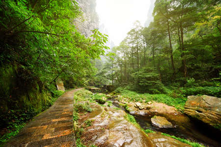 Scenic stone walkway along river with crystal clear water among green woods and rocks in the...