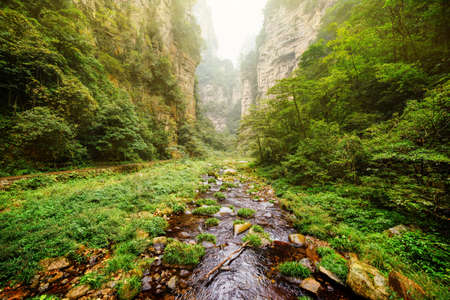 Amazing view of river with crystal clear water at bottom of deep mountain gorge among green woods and rocks in the Zhangjiajie National Forest Park, Hunan Province, China. Summer landscape.の写真素材