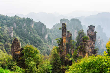 Amazing view of natural quartz sandstone pillars of the Tianzi Mountains (Avatar Mountains) among green woods in the Zhangjiajie National Forest Park, China. Wooded mountains are visible in backgroundの写真素材