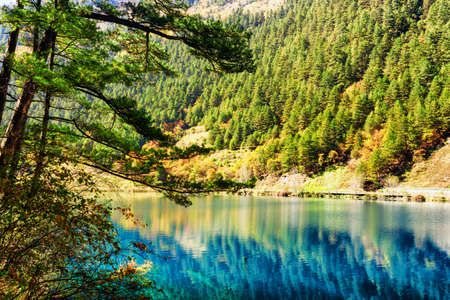 Beautiful view of scenic lake among mountains with evergreen woods in Jiuzhaigou nature reserve (Jiuzhai Valley National Park), China. Forest reflected in water. Amazing landscape.の写真素材