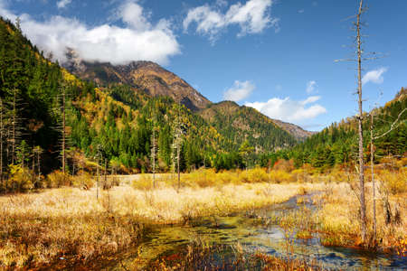 Beautiful view of a semi-marsh lake among fall woods and mountains at the Rize Valley in Jiuzhaigou...