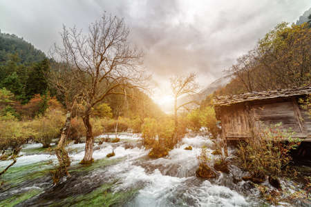 Amazing autumn landscape at the Shuzheng Valley, Jiuzhaigou nature reserve, China. Scenic view of wooden house by the Bonsai Shoals with crystal water among colorful fall forest and mountains in fog.の写真素材