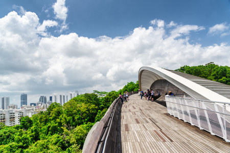 Beautiful view of amazing bridge imitating a wave. Fantastical shape of the pedestrian bridge in Singapore. Curving and twisting wooden walkway leading to a green park. Scenic cityscape.のeditorial素材