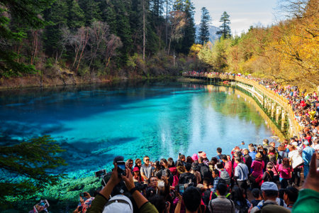 JIUZHAIGOU NATURE RESERVE, SICHUAN PROVINCE, CHINA - OCTOBER 25, 2015: Crowd of Asian tourists with smartphones taking pictures of the Five Coloured Pool (the Colorful Pond) in the national park.のeditorial素材