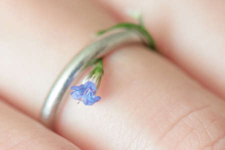 Wedding ring decorated with beautiful small blue spring flower. Macro shot of floret. Wedding concept.の写真素材