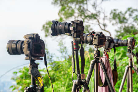Taipei, Taiwan - April 25, 2019: Unusual view of row of professional cameras on tripods among green...