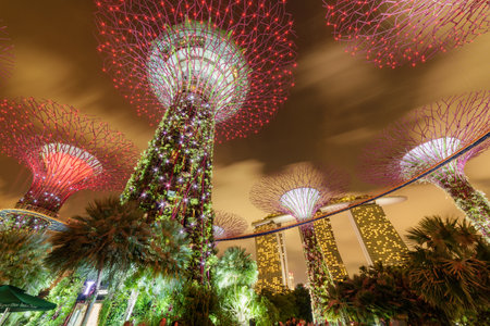 Singapore - February 18, 2017: Gorgeous night bottom view of the Supertree Grove with the Skyway at Gardens by the Bay. Giant tree-like structures. The Marina Bay Sands Hotel is visible in background.のeditorial素材