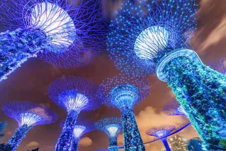 Singapore - February 18, 2017: Night bottom view of the Supertrees and the Skyway at Gardens by the Bay. Giant tree-like structures and vertical gardens are popular tourist attraction of Asia.のeditorial素材