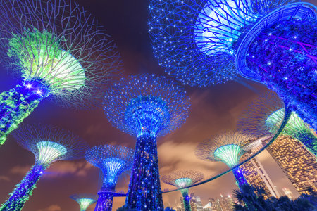 Singapore - February 18, 2017: Beautiful night bottom view of the Supertrees and the Skyway at Gardens by the Bay. Giant tree-like structures and vertical gardens are popular tourist attraction.のeditorial素材