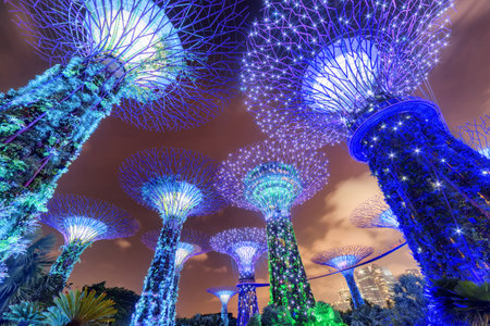 Singapore - February 18, 2017: Awesome night bottom view of the Supertrees and the Skyway at Gardens by the Bay. Giant tree-like structures and vertical gardens are popular tourist attraction of Asia.のeditorial素材
