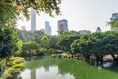 Gorgeous morning view of Bird Lake at Kowloon Park in Hong Kong. Awesome cityscape. Hong Kong is a popular tourist destination of Asia.のeditorial素材