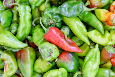 Closeup view of fresh green and red bell pepper. Good harvest of vegetables. Healthy eco food....