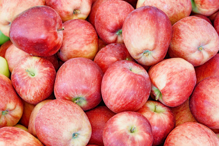 Closeup view of fresh red apples. Good harvest of fruits. Healthy eco food. Product of organic farming.の写真素材