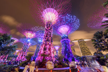 Singapore - February 18, 2017: Amazing night bottom view of the Supertrees at Gardens by the Bay and the Marina Bay Sands Hotel. Giant tree-like structures are popular tourist attraction of Asia.のeditorial素材