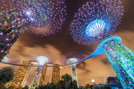 Singapore - February 18, 2017: Fantastic night bottom view of the Supertree Grove with the Skyway at Gardens by the Bay. Giant tree-like structures. The Marina Bay Sands Hotel is visible in backgroundのeditorial素材