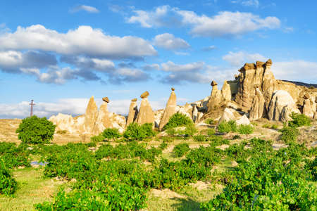 Awesome view of rock formations in Pasabag valley in Cappadocia, Turkey. Fabulous landscape of Goreme Historical National Park. Cappadocia is a popular tourist destination of Turkey.の写真素材