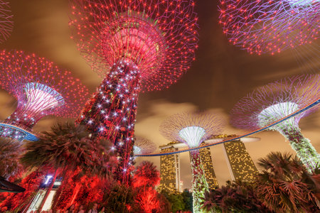 Singapore - February 18, 2017: Fabulous night bottom view of the Supertree Grove with the Skyway at Gardens by the Bay. Giant tree-like structures. The Marina Bay Sands Hotel is visible in background.のeditorial素材