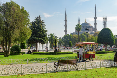 View of the Sultan Ahmed Mosque among green gardens in Istanbul, Turkey. The Blue Mosque is a popular destination among pilgrims and tourists of the Istanbul.の写真素材