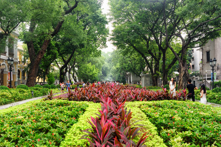 Guangzhou, China - November 7, 2015: Scenic view of beautiful public garden on Shamian Island. Guangzhou is a popular tourist destination of Asia.のeditorial素材