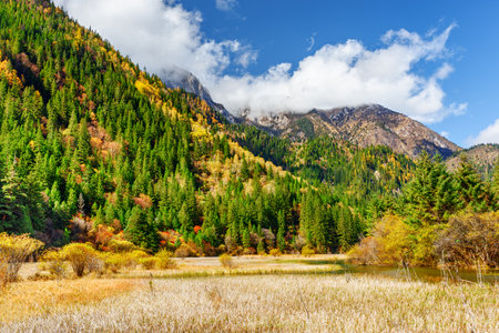 Semi-marsh lake among fall woods and mountains at the Rize Valley in Jiuzhaigou nature reserve (Jiuzhai Valley National Park), China. Amazing sunny autumn landscape.の写真素材