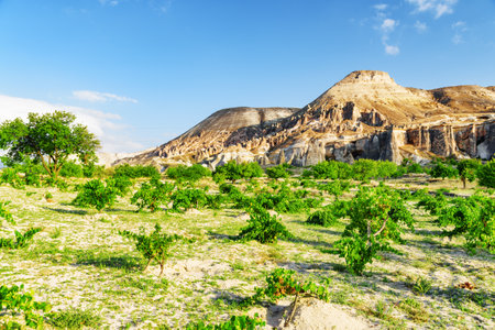 Awesome view of rock formations in Pasabag valley in Cappadocia, Turkey. Fabulous landscape of Goreme Historical National Park. Cappadocia is a popular tourist destination of Turkey.の写真素材