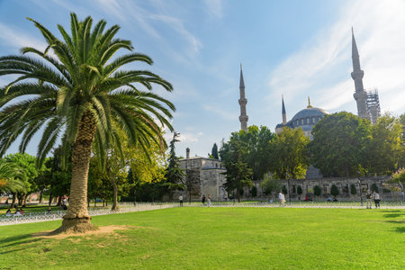 View of the Sultan Ahmed Mosque among green gardens in Istanbul, Turkey. The Blue Mosque is a popular destination among pilgrims and tourists of Istanbul.の写真素材