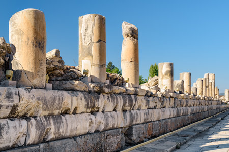 Awesome view of columns in Ephesus (Efes) at Selcuk in Izmir Province, Turkey. Scenic ruins of the ancient Greek city. Ephesus is a popular tourist attraction in Turkey.の写真素材