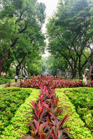 Guangzhou, China - November 7, 2015: Scenic view of beautiful public garden on Shamian Island. Guangzhou is a popular tourist destination of Asia.のeditorial素材