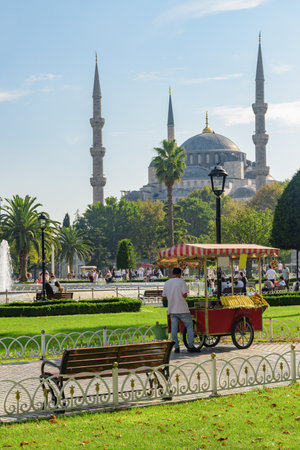 View of the Sultan Ahmed Mosque among green gardens in Istanbul, Turkey. The Blue Mosque is a popular destination among pilgrims and tourists of the Istanbul.の写真素材