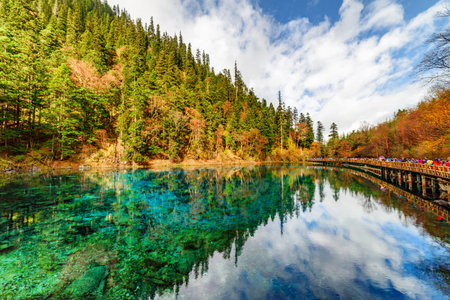 View of the Five Coloured Pool (the Colorful Pond) with azure crystal clear water among fall woods and evergreen forest in Jiuzhaigou nature reserve (Jiuzhai Valley National Park), China.の写真素材