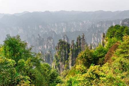 Awesome view of natural quartz sandstone pillars of the Tianzi Mountains (Avatar Mountains) in the Zhangjiajie National Forest Park, Hunan Province, China. Fabulous landscape.の写真素材