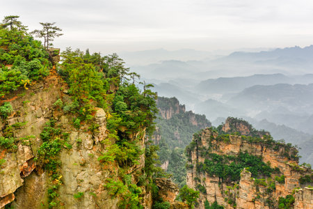 Natural quartz sandstone pillars of the Tianzi Mountains (Avatar Mountains) in the Zhangjiajie National Forest Park, Hunan Province, China. Summer landscape.の写真素材