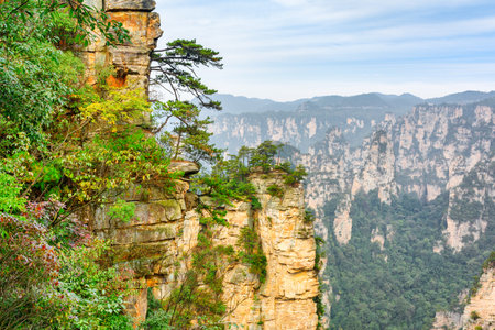 Awesome view of green trees growing on top of rock in the Tianzi Mountains (Avatar Rocks), the Zhangjiajie National Forest Park, Hunan Province, China. Wooded mountains are visible in background.の写真素材