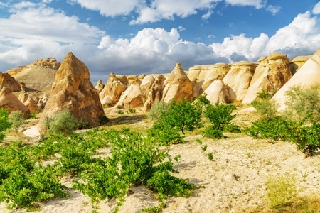 Awesome view of rock formations in Pasabag valley in Cappadocia, Turkey. Fabulous landscape of Goreme Historical National Park. Cappadocia is a popular tourist destination of Turkey.の写真素材