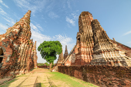 Towers (prangs) of Wat Chaiwatthanaram in Ayutthaya, Thailand. Scenic ruins of buddhist temple in the ancient city of the Ayutthaya Kingdom (Siam). Thailand is a popular tourist destination of Asia.の写真素材