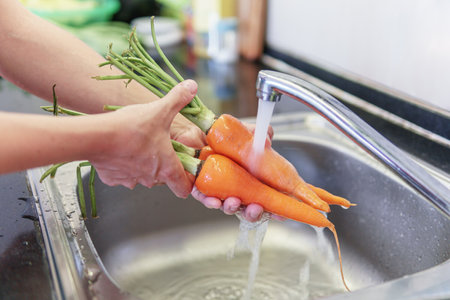 Woman hands washing fresh orange carrots in a kitchen. Preparing of ripe vegetables. Vegetarian healthy food. Product of organic farming.の写真素材