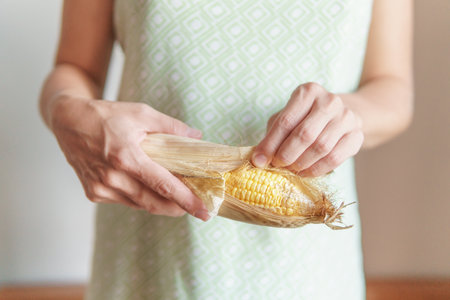 Woman hands peeling ripe corn. Mature yellow maize ear. Healthy eco food. Product of organic farming.の写真素材