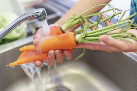 Woman hands washing fresh orange carrots in a kitchen. Preparing of ripe vegetables. Vegetarian healthy food. Product of organic farming.の写真素材