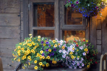 ambience of summer nightの写真素材