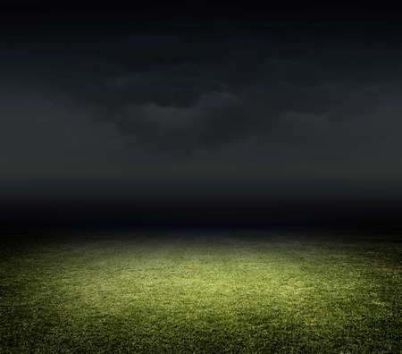 Stadium grass Stadium grass