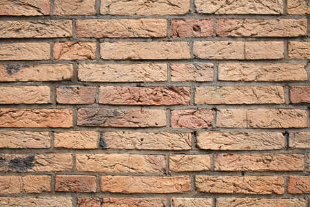brick wall